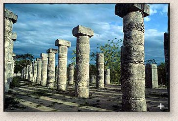 columns1