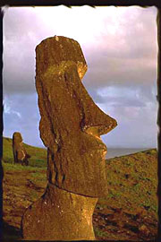 thinmoai